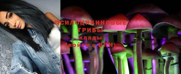 mdma Богородицк