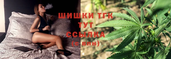 соль ск Богданович